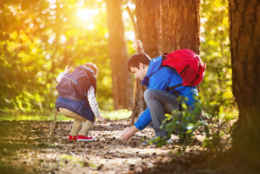 Im Wald gibt es für Groß und Klein immer wieder Neues zu entdecken. • Halfpoint / Fotolia.com