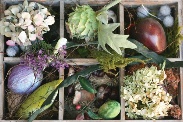 Sie können das Duftbeutelchen mit verschiedenen Blüten und Kräutern füllen. • Foto: edwinsmum / photocase.de