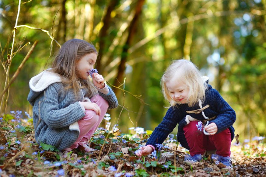 Im Wald ist man von Märchenwesen umgebeben.  • MNStudio / Fotolia.com