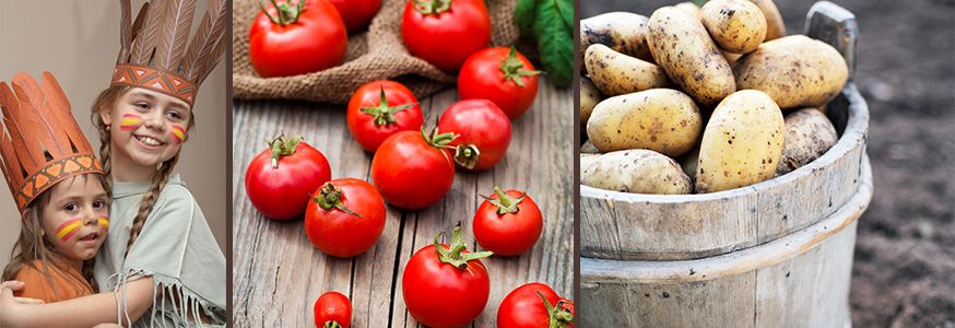 Ob Tomaten, Kartoffeln oder Mais - vieles von unserem Gemüse haben wir von den Indianern. • Fotos: Waldru / Fotolia.de; colourbox.de