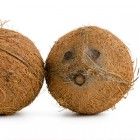 Hawaiigeburtstag-Spiel-Kokosnusskegel